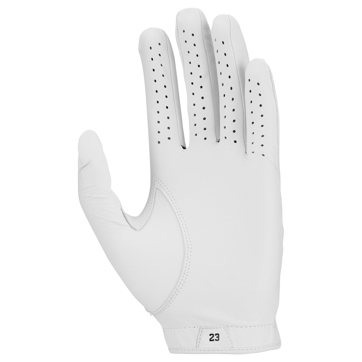Jordan Tour Glove