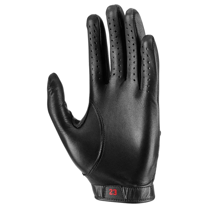 JORDAN TOUR GLOVE