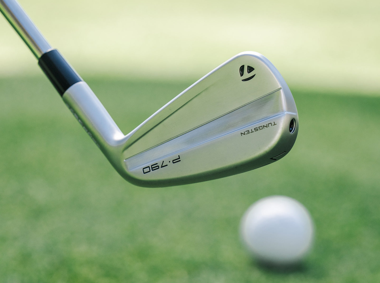 TaylorMade P 790 Irons