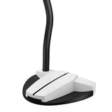 PING Scottsdale Tec Hayden Putter