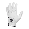 PING Tour 251 Glove