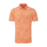 PING Marek Polo