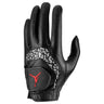 Jordan Tour Glove