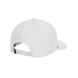 PING 254 RACER CAP